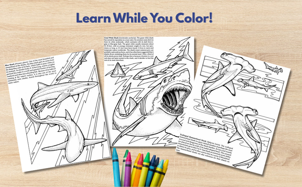Sharks of the World  Coloring Book