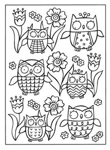 Owls Coloring Book