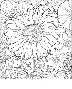 Rosalind Wise: Flower Cycle Coloring Book