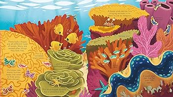 Usborne Look Inside Seas and Oceans