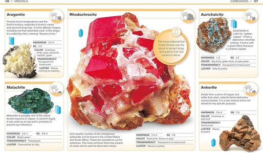 Pocket Genius - Rocks and Minerals