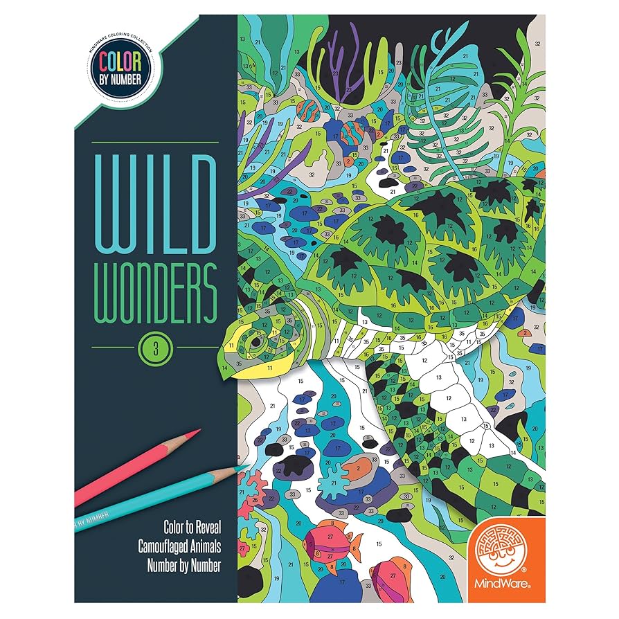 CBN: Wild Wonders Book 4