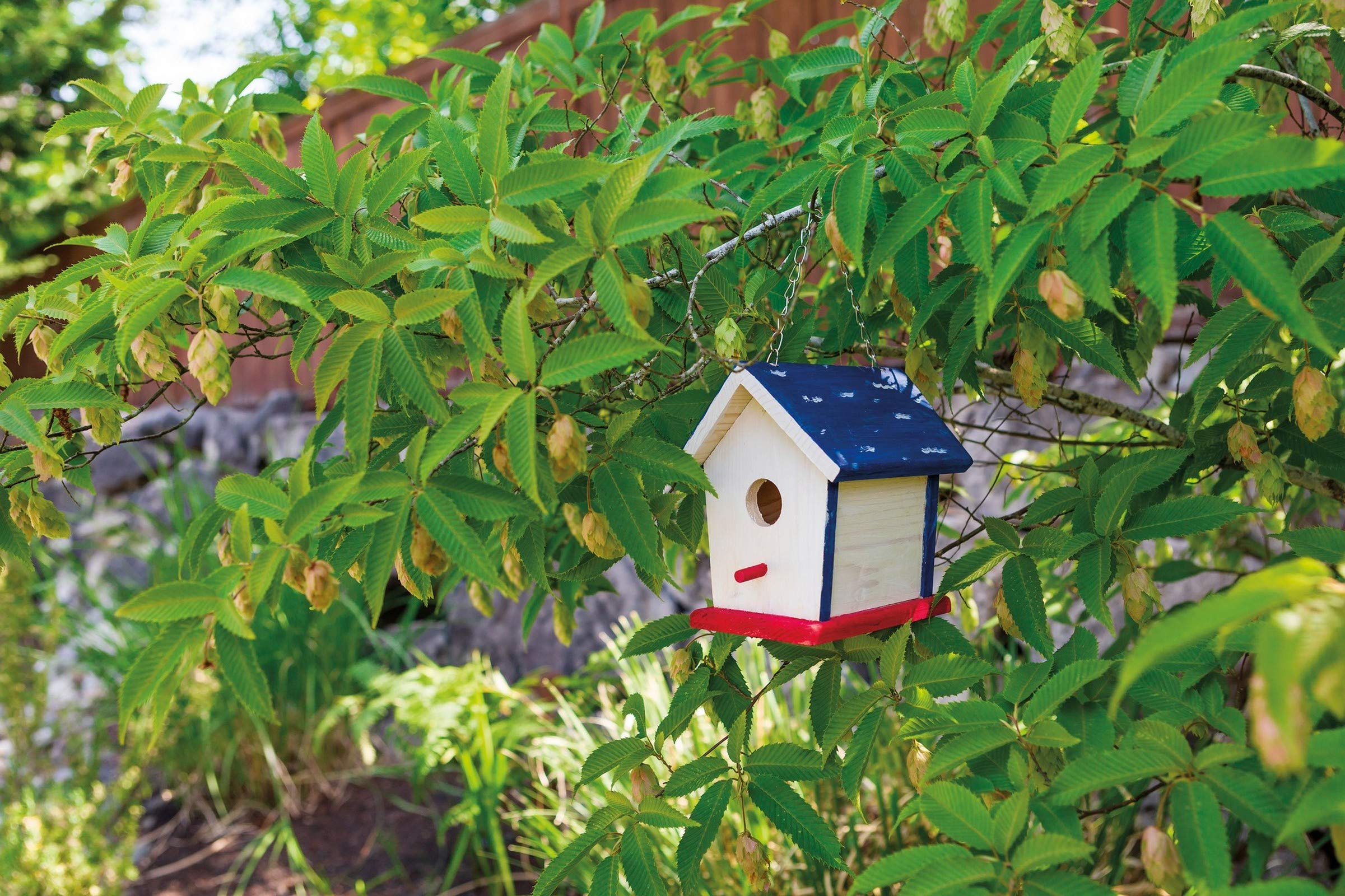 Beetle & Bee Garden Paint a Bird Base