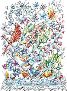 Creative Haven Deluxe Edition Four Seasons Coloring Book