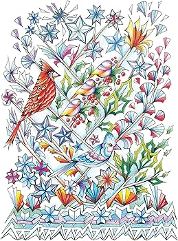 Creative Haven Deluxe Edition Four Seasons Coloring Book