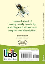 Learning About Insects