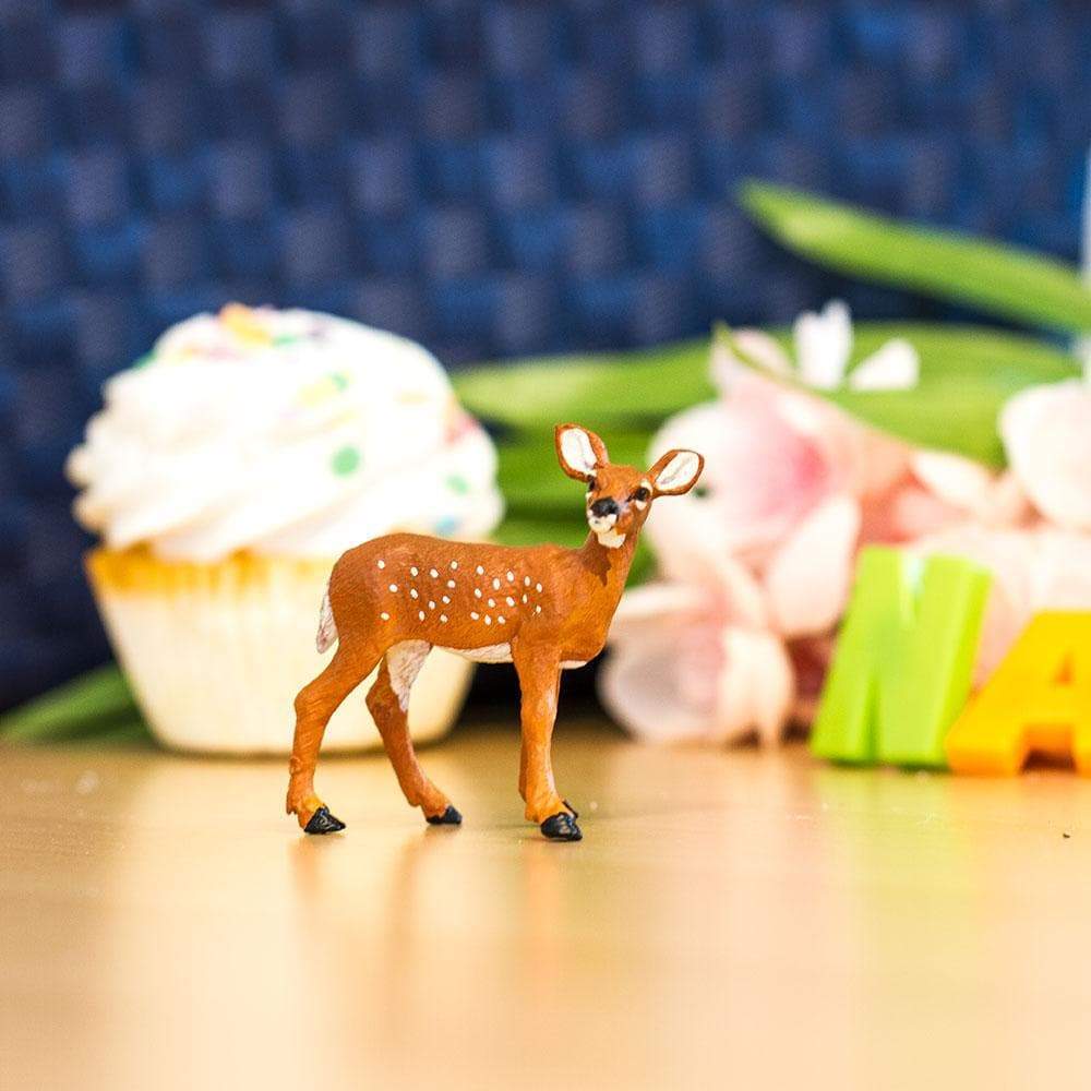 Whitetail Fawn