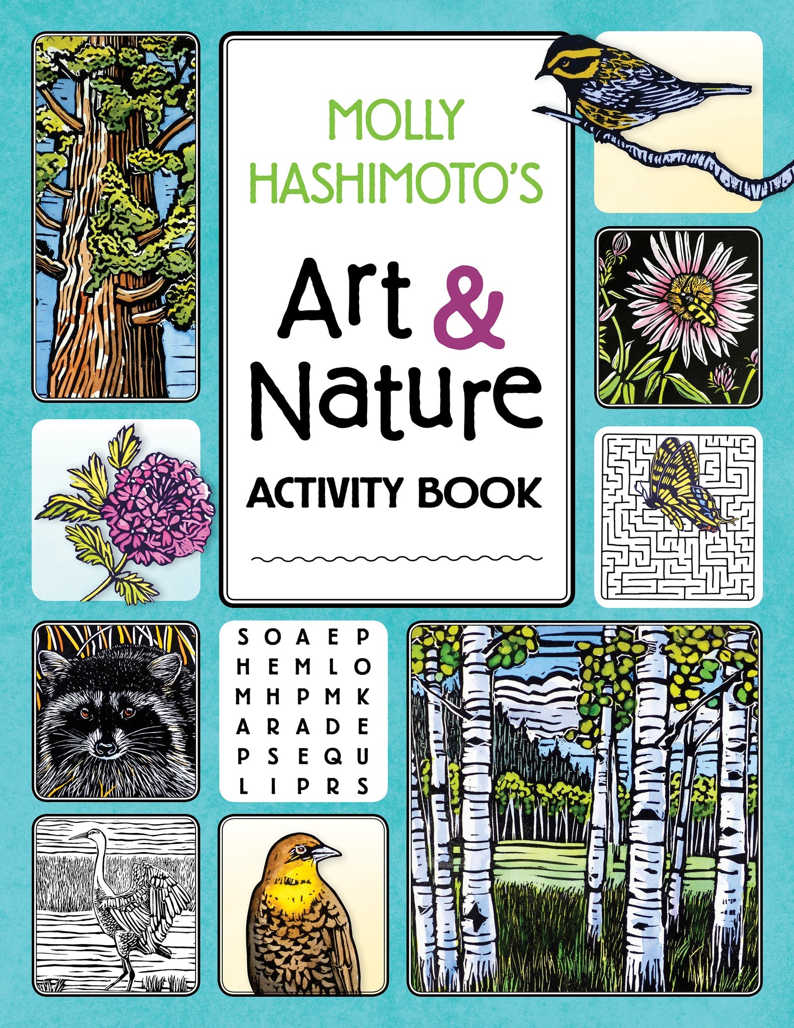 Molly Hashimotoâs Art & Nature Activity Book