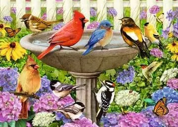 At the Birdbath - 500