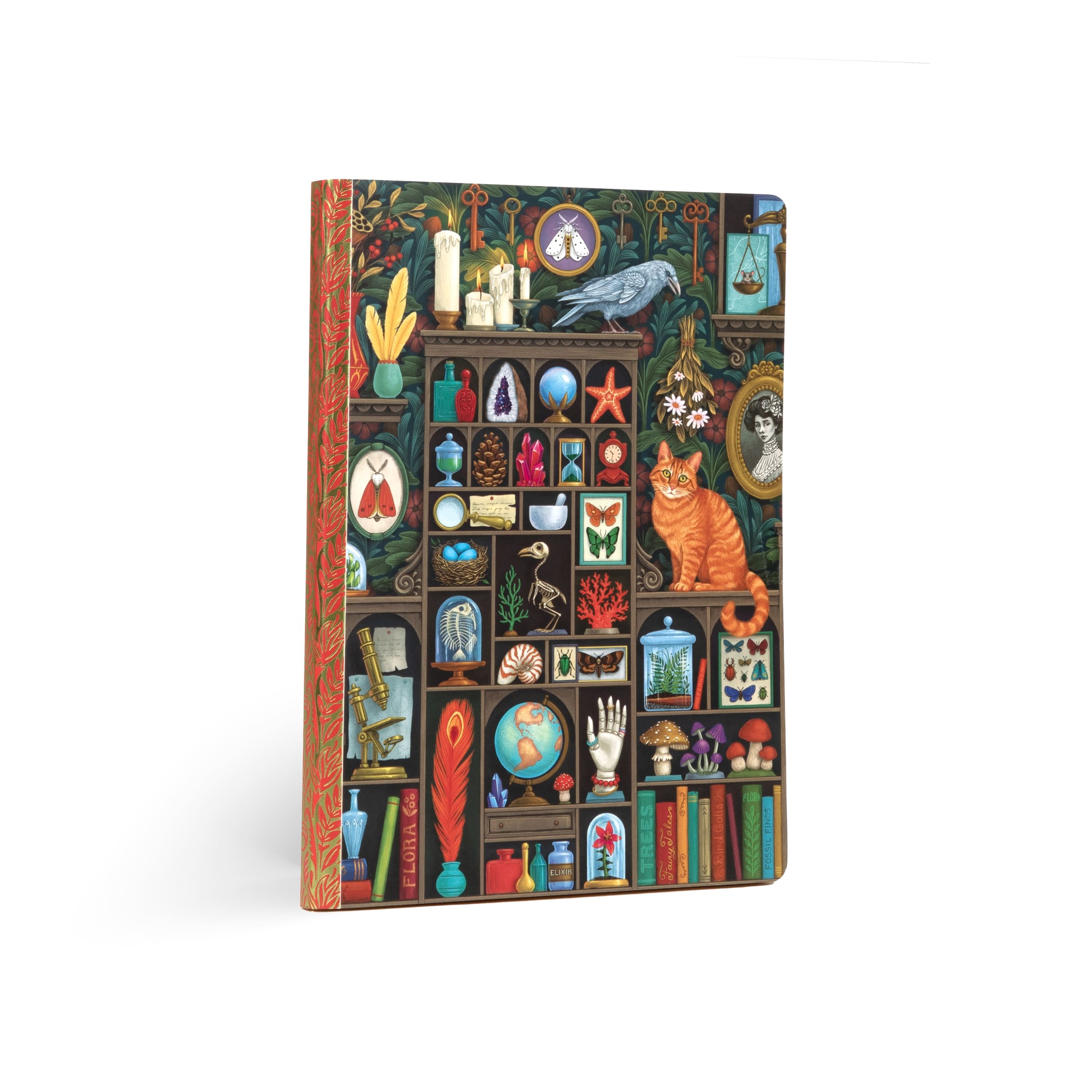 Luxurious Alchemist's Cabinet Journal