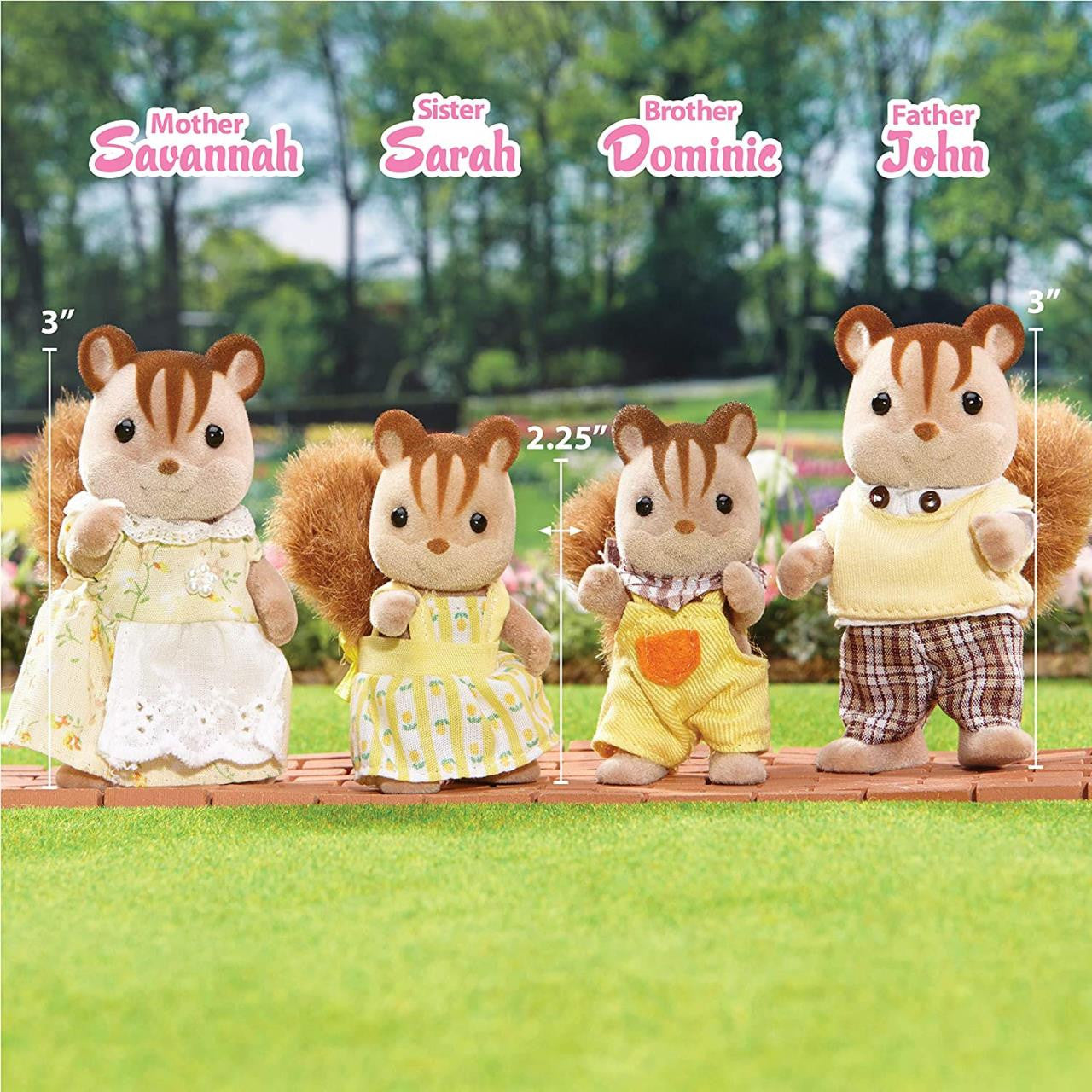 Chipmunk Family