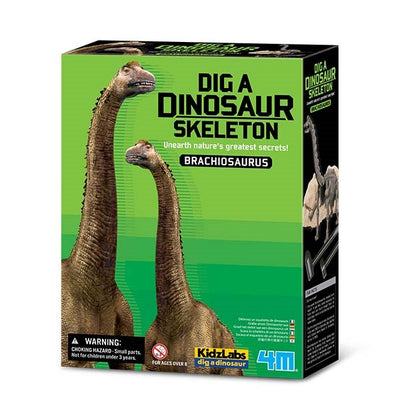 Dig a Dinosaur Skeleton Brachiosaurus Kit