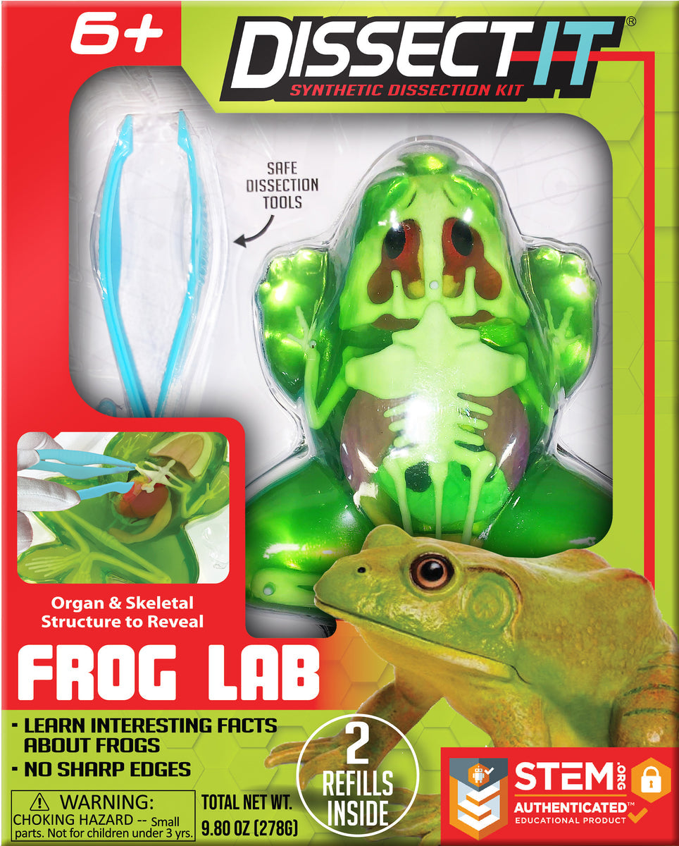 Dissect It - Frog Lab