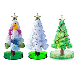 Grow a Christmas Tree