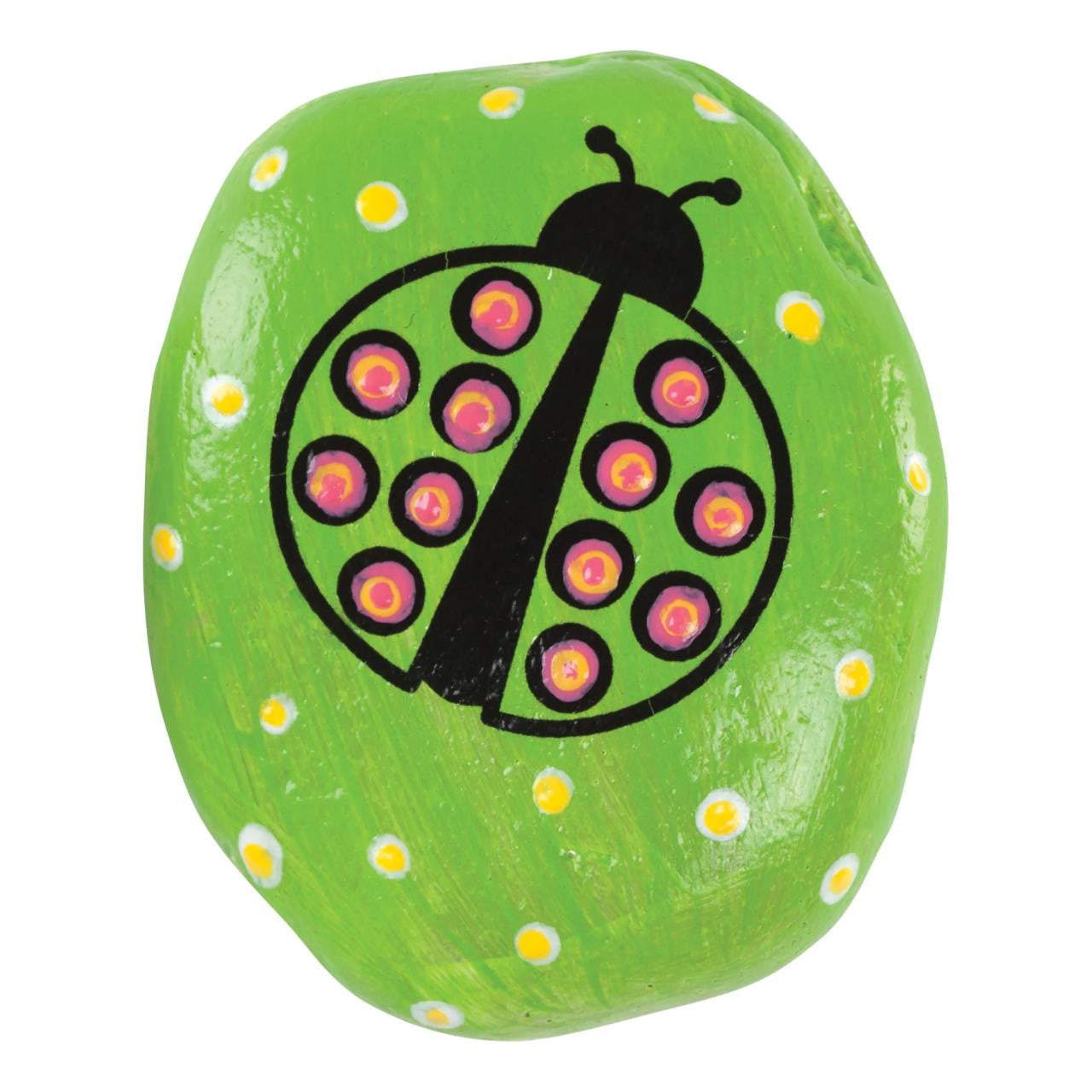 Hide & Seek Dot a Rock Painting Kit