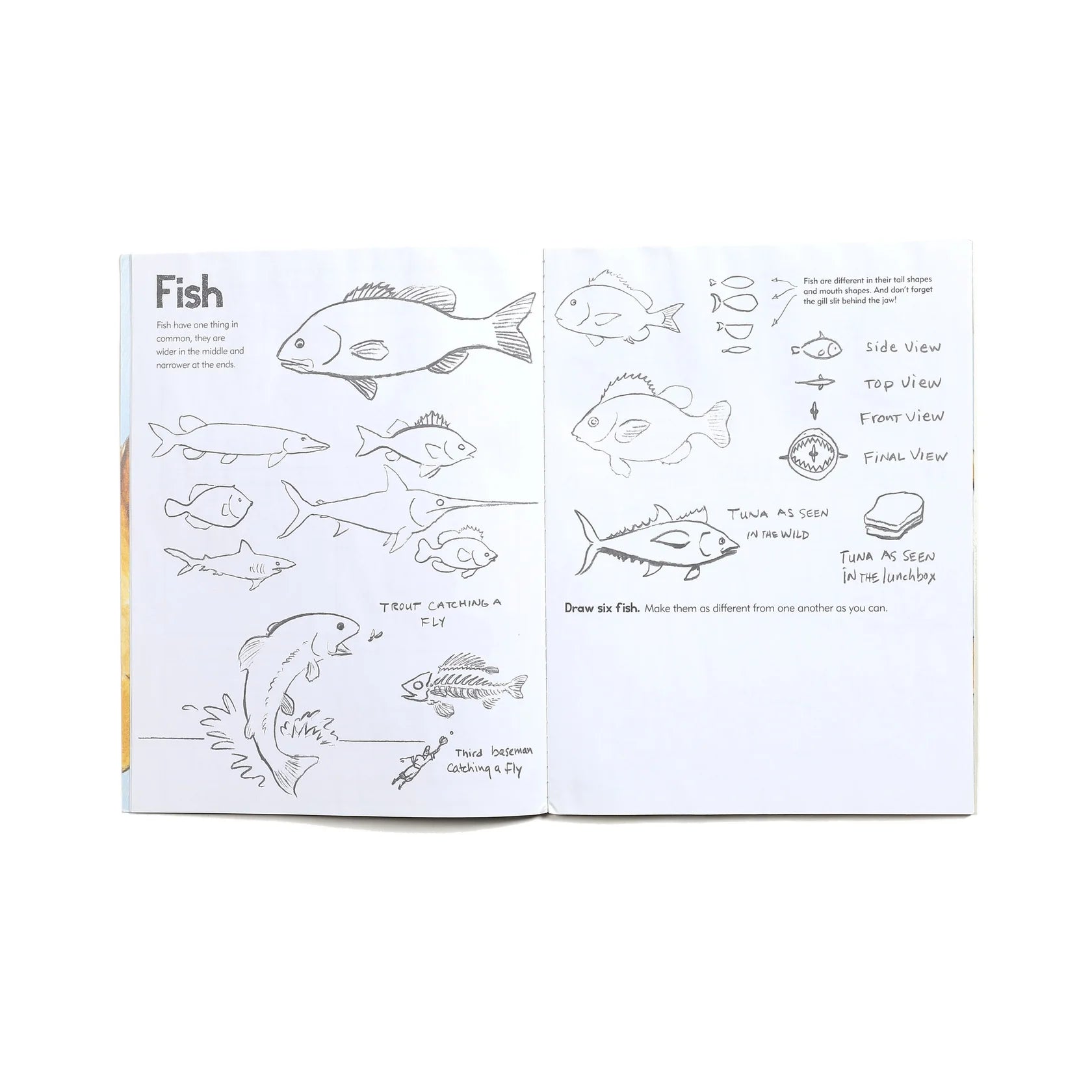 Learn to Draw Animals