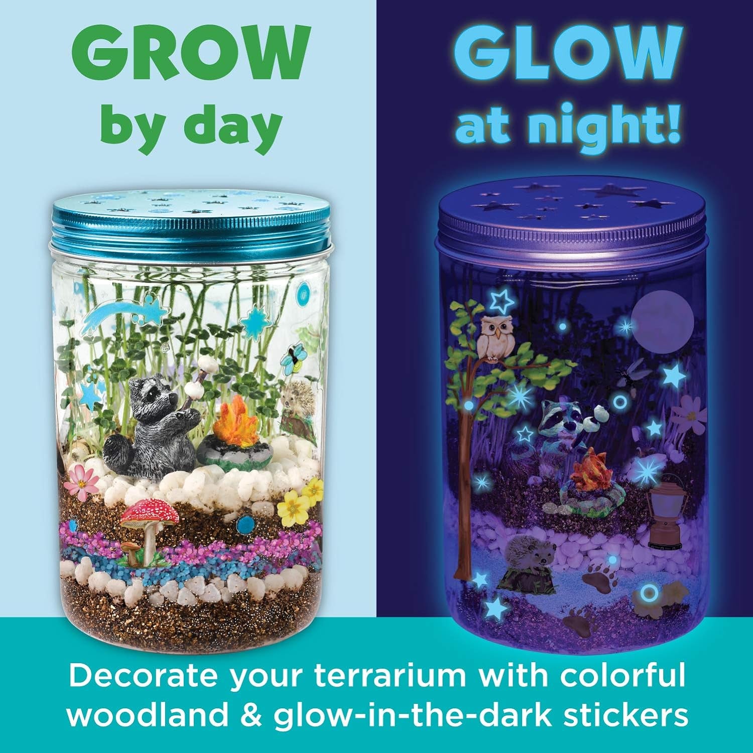 Grow N' Glow Terrarium