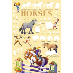Discovery Poster - Horses