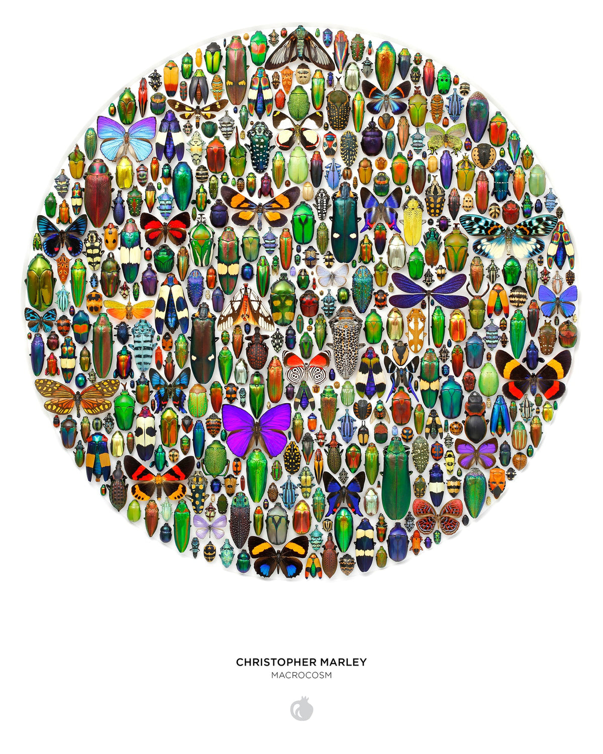 Christopher Marley:  Macrocosm - 500