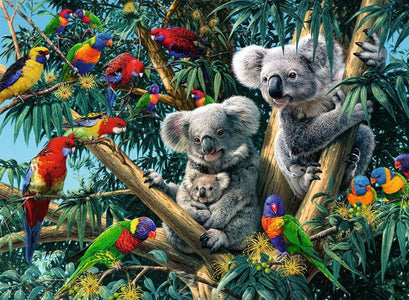Koalas in a Tree - 500