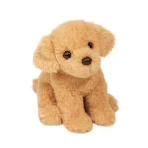 Mini Golden Retriever