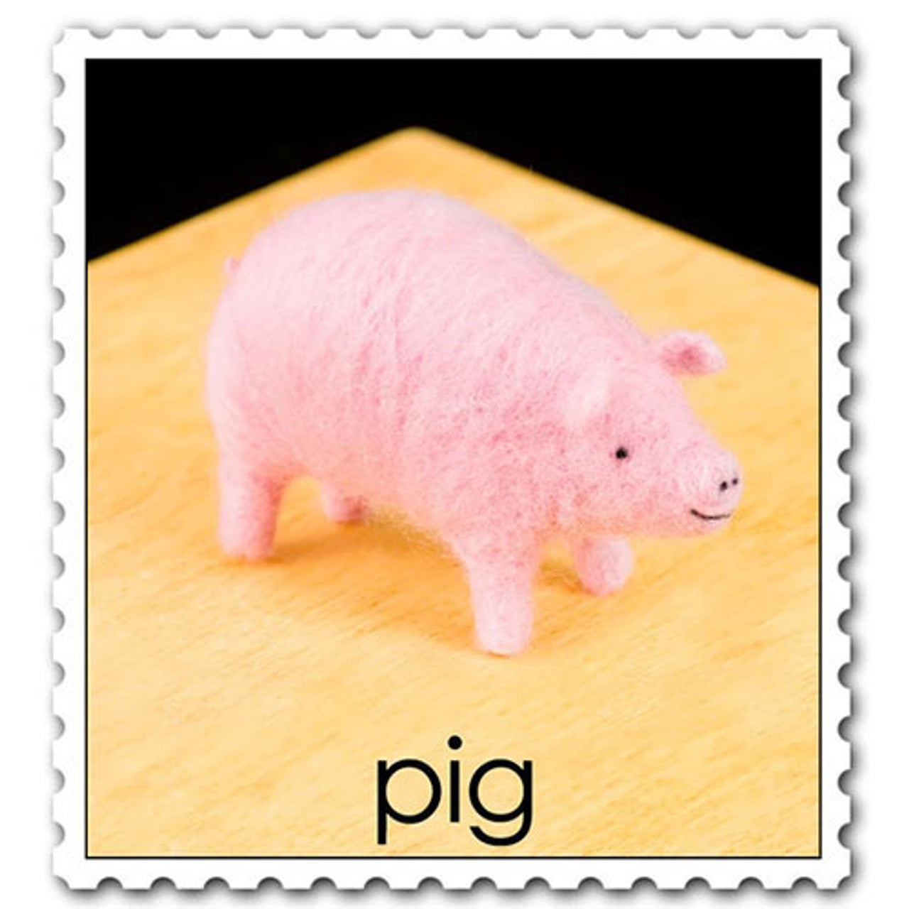 Needle Felting Kit - Pig