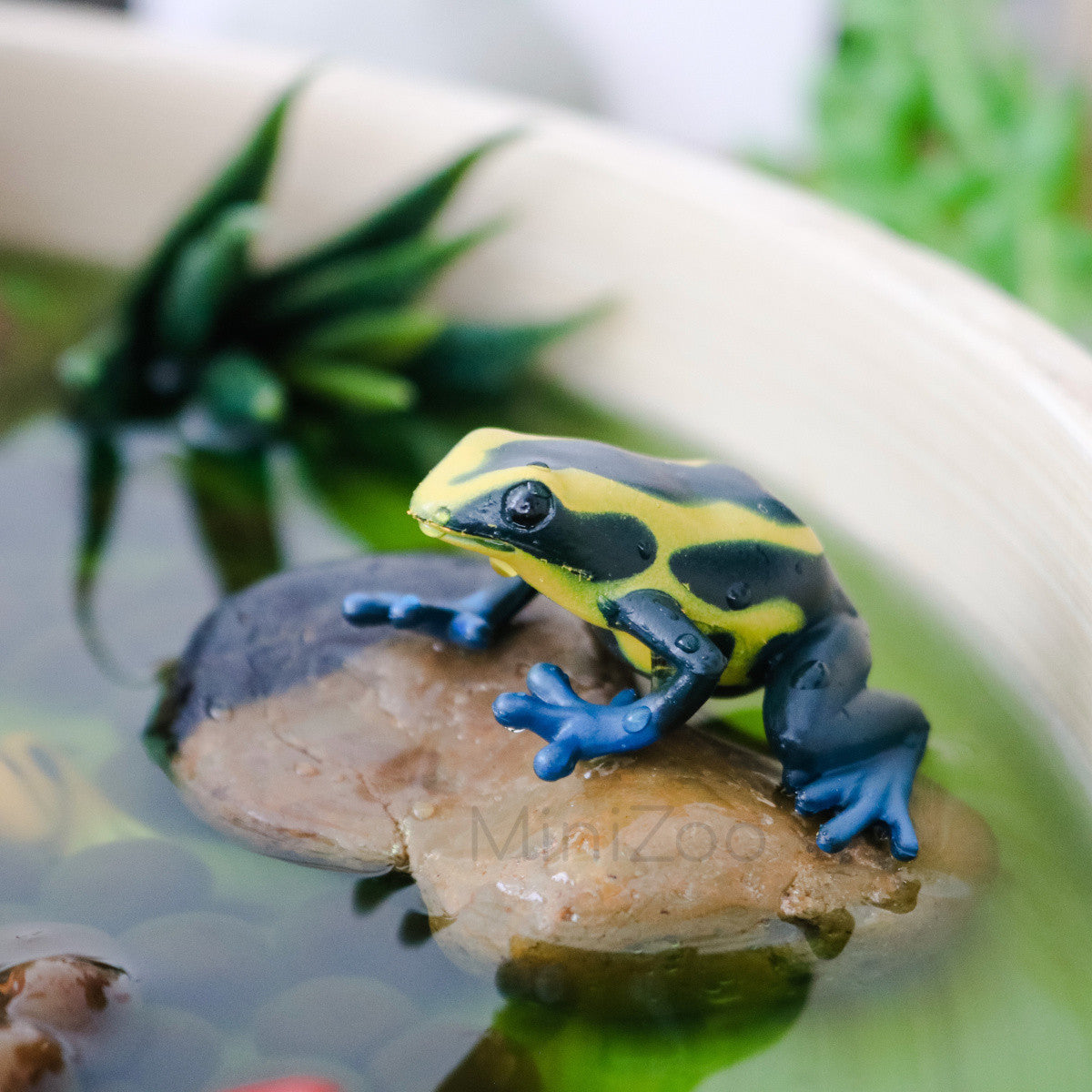 Toob - Poison Dart Frogs