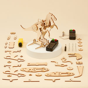 Dinosaur Robot Kit