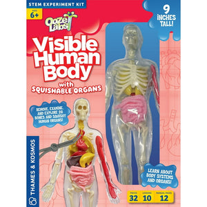 Ooze Labs Visible Human Body