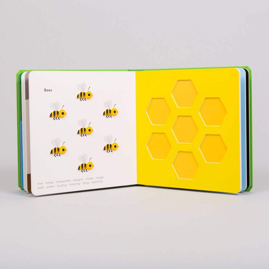 TouchThinkLearn: Little Critters