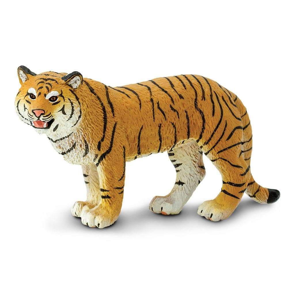 Bengal Tigress