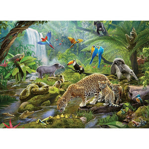 Rainforest Animals - 60