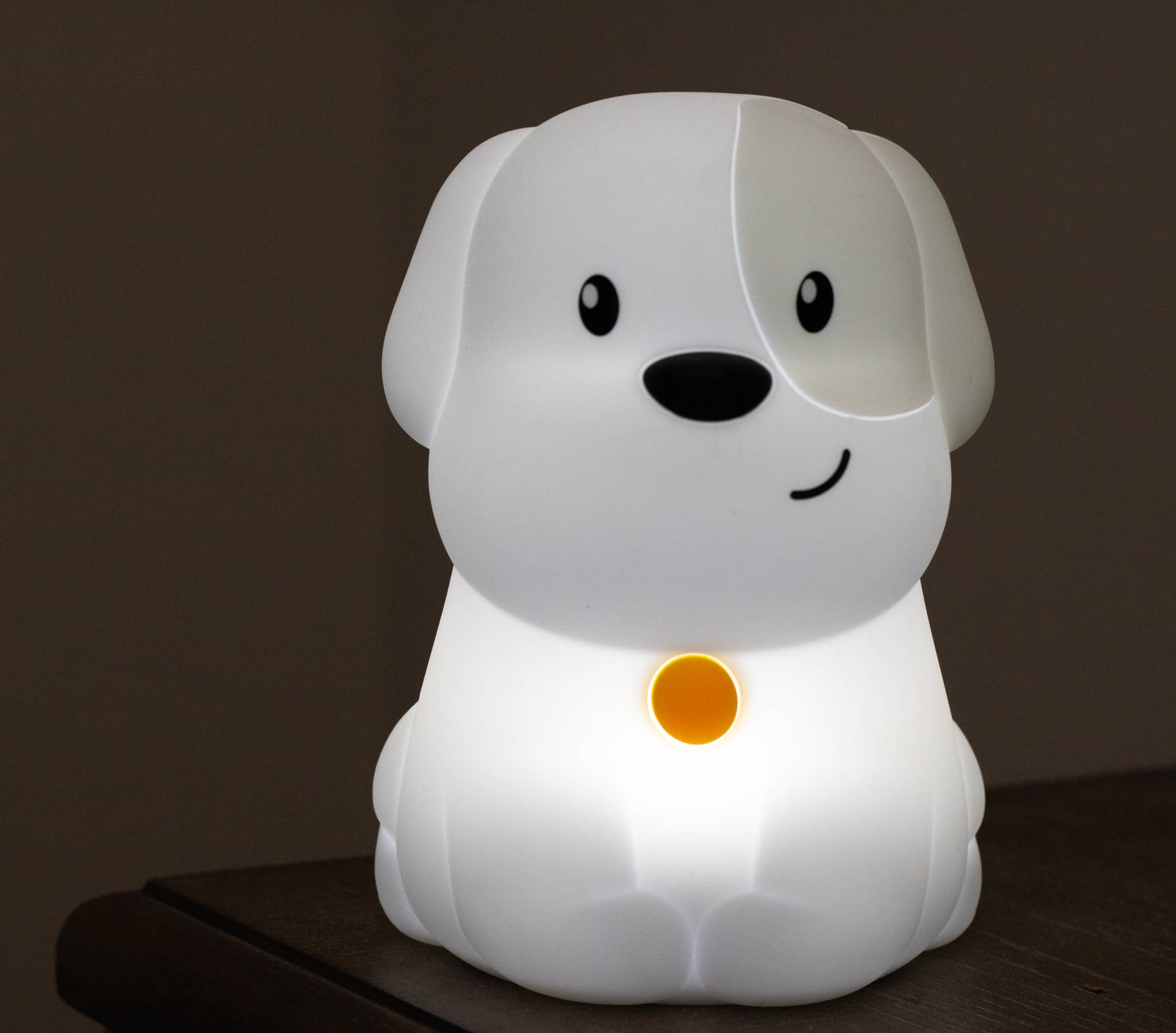 Lumipets LED Dog Night Light with Remote