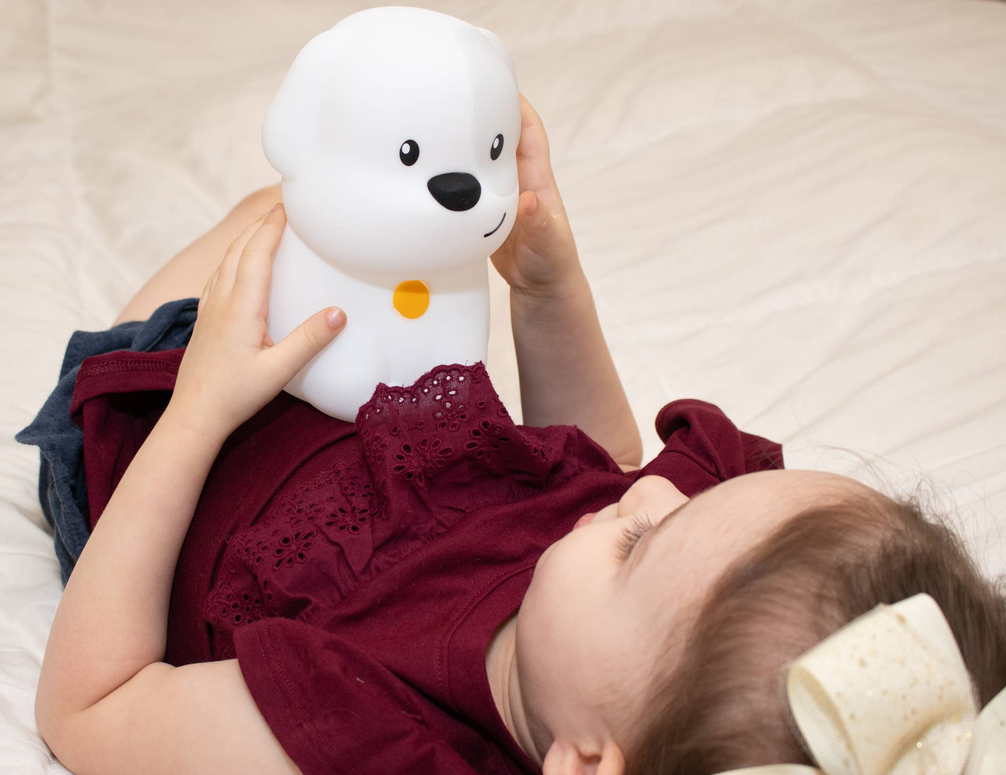 Lumipets LED Dog Night Light with Remote