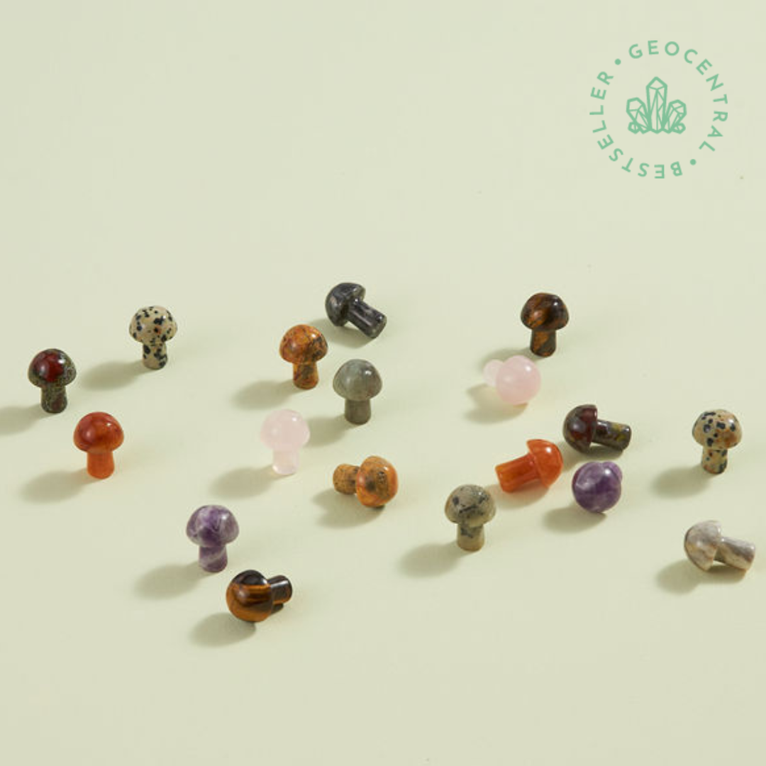 Assorted Mini Mushrooms