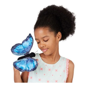 Blue Morpho Butterfly
