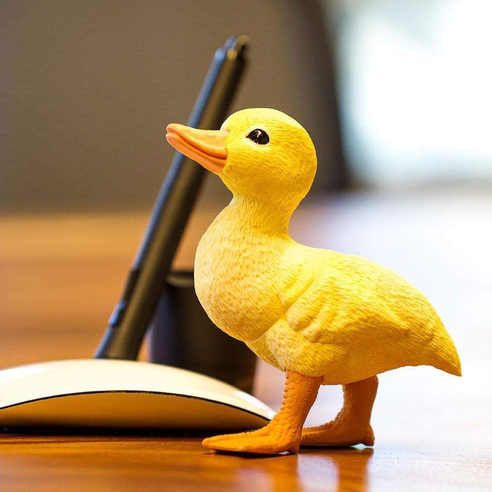Duckling