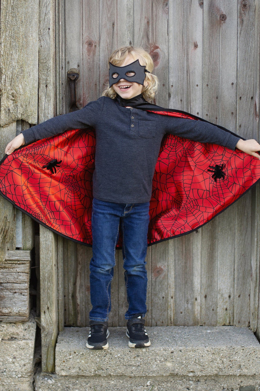 Reversible Spider/Bat Cape and Mask