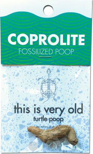 Coprolite Fossilized Poop
