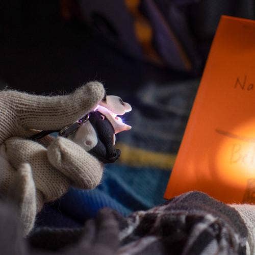 WildLight Animal Carabiner Flashlight - Panda Bear