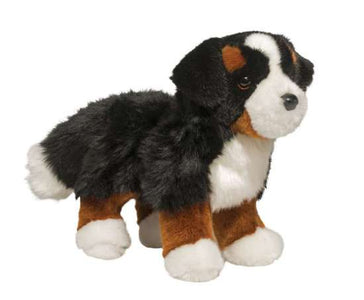 Stevie Bernese Mountain Dog