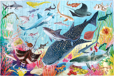 Love of Sharks 100pc