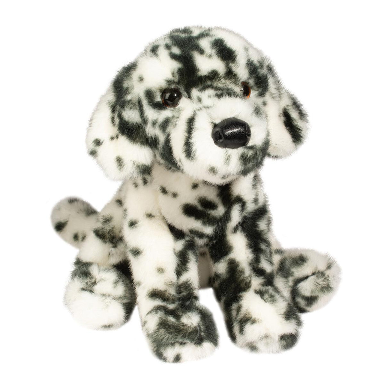 Mackay Floppy Dalmatian
