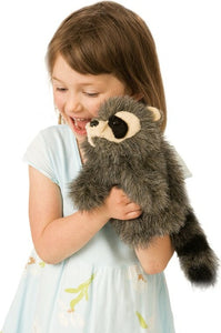Baby Raccoon