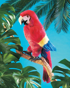 Scarlet Macaw Puppet