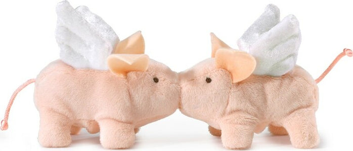 Mini Winged Piglet