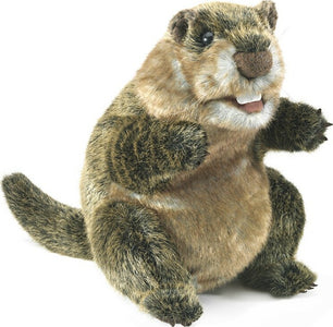 Groundhog