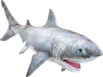 Great White Shark