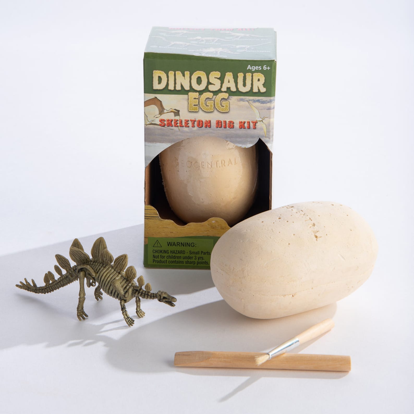Dinosaur Egg W/Skeleton