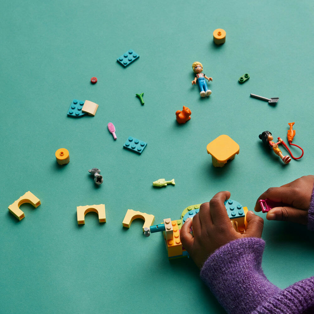 LEGO Cat Playground Adventure